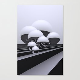 black-and-white -17 Canvas Print