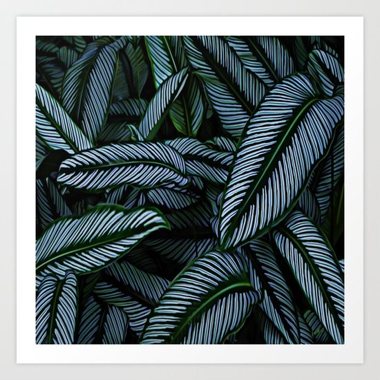 Night Tropic 5 Art Print