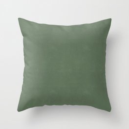 Lightly Textured Plain Sage Green Throw Pillow