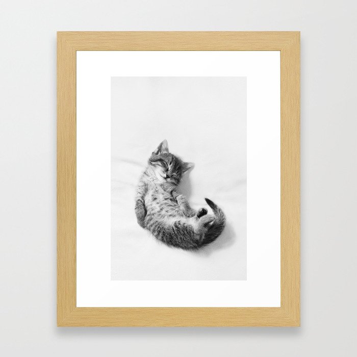 Sleepy Kitten Framed Art Print
