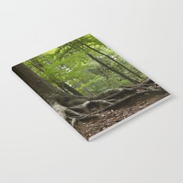 forest tree root nature photography Notebook