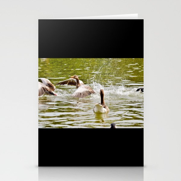 Hunting Ducks Stationery Cards