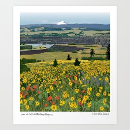Tom McCall Wildflower Preserve Art Print