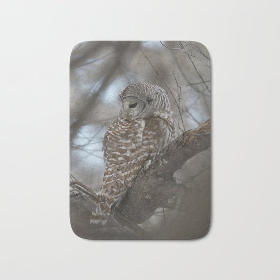 Sleepy Owl Bath Mat