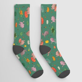 Aardvark and pumpkins 4 Socks