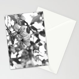 Nature's Glass Stationery Cards