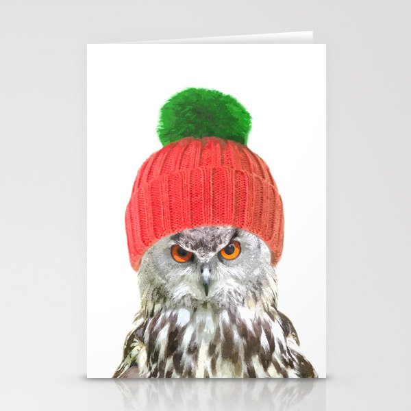 Owl with cap winter holidays Stationery Cards
