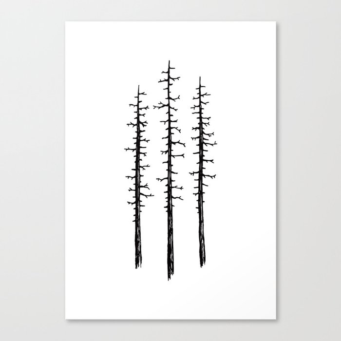 Pines Canvas Print