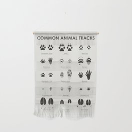Animal Tracks (Hidden Tracks) Identification Chart Wall Hanging