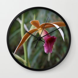 Wild Tropical Orchid Wall Clock