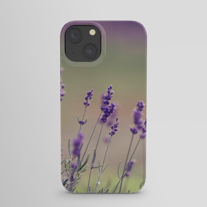 Fleur III iPhone Case