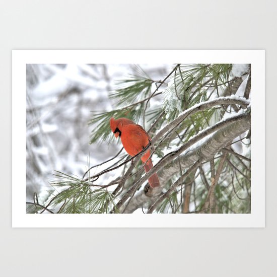 Snow Globe Cardinal Art Print