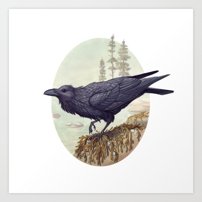 Raven of the North Atlantic Art Print