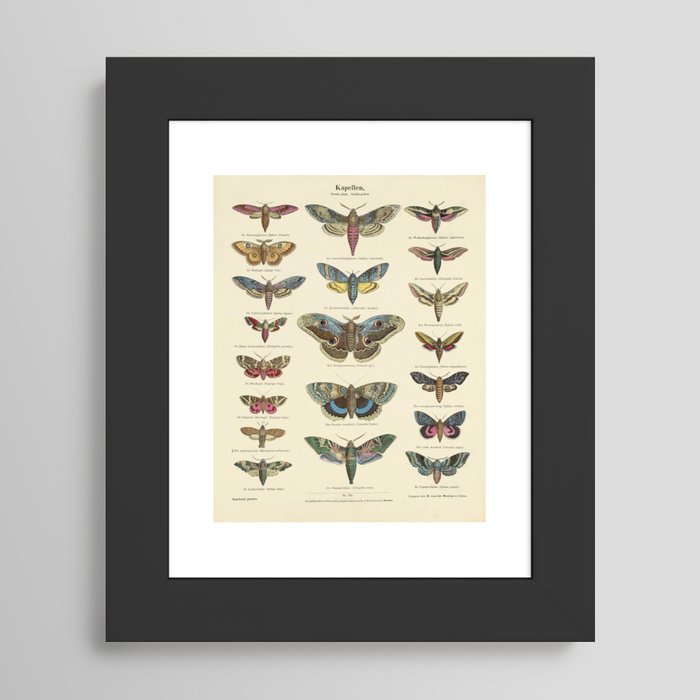 Framed Art Print