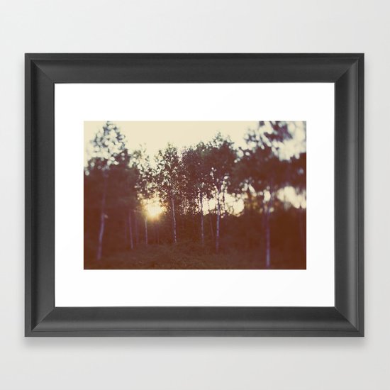 Silent Birch Framed Art Print