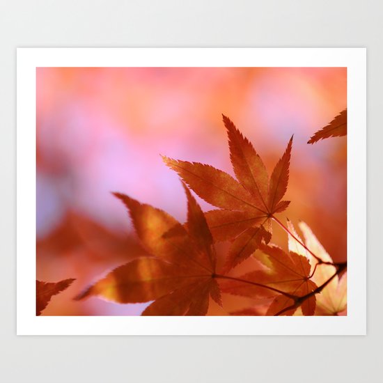 Fall Symphony Art Print