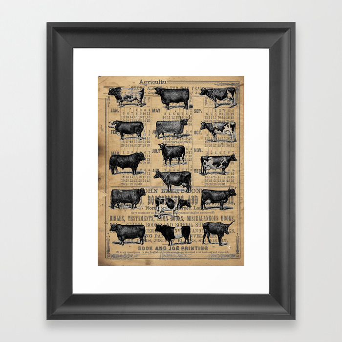 Vintage 1896 Cows Study On Antique Lancaster County Almanac Framed Art Print