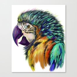 Ara parrot.  Canvas Print