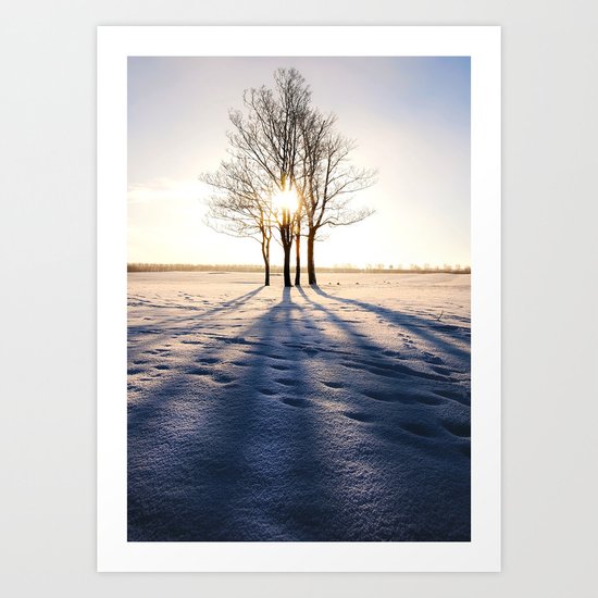 Winter Sun Art Print