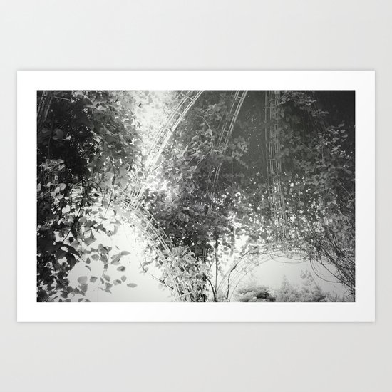 Canopy - Black & White Art Print