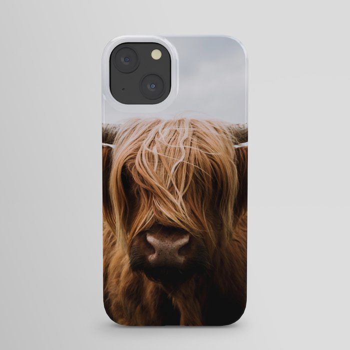 Scottish Highland Cattle Portrait iPhone Case