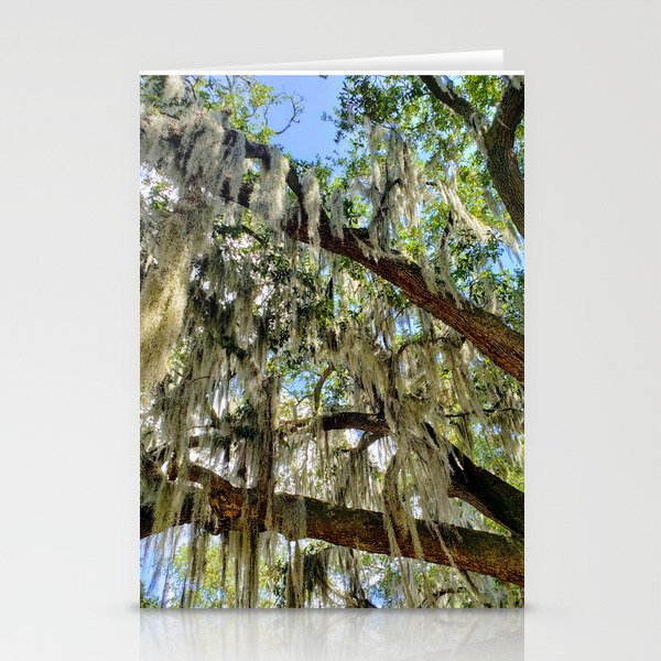 New Orleans Spanish Moss Stationery Cards