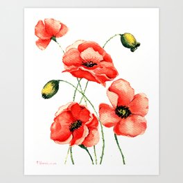 Poppies Art Print