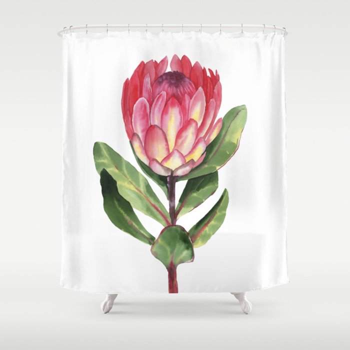 Watercolor Protea Shower Curtain