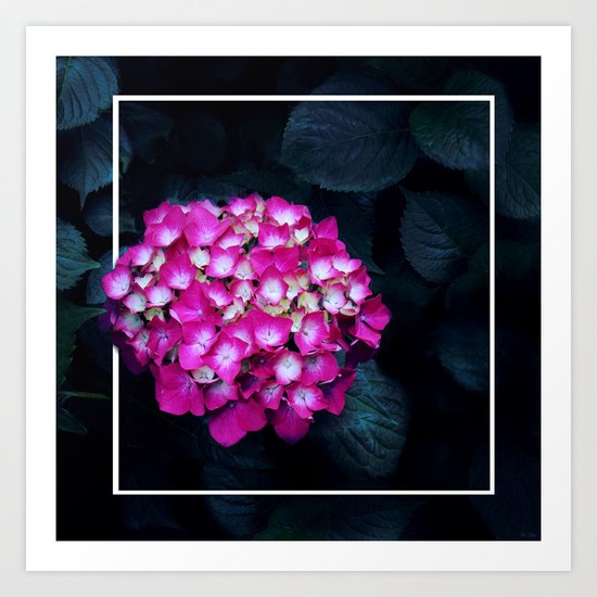 Boastful Vanity Art Print