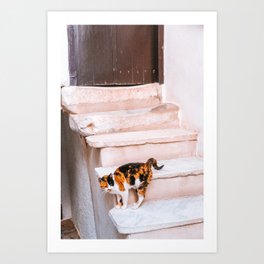 Cats of Greece | Colorful Photography of a Stray Cat on the Greek Islands Art Print