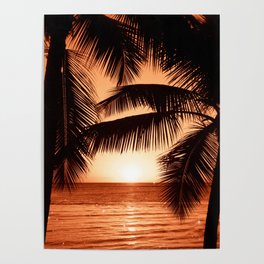 Sunset Palm Beach Poster