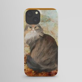 Maine coon cat iPhone Case