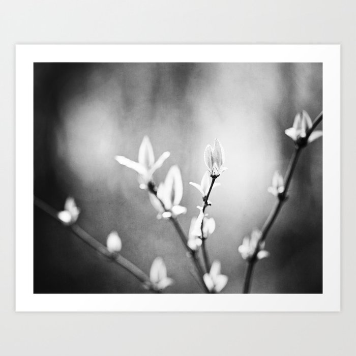 Black And White Nature Photography Dark Grey Tree Branches Gray Neutral Botanical Branch Leaves Art Print