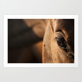 horse's soul Art Print | Film, Photo, Double Exposure, Eyes, Red, Horse, Color, Digital, Eye, Love 
