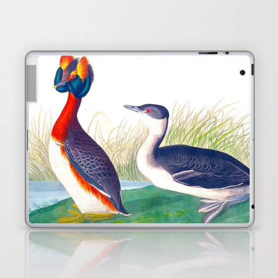 Horned Grebe Duck Laptop & iPad Skin