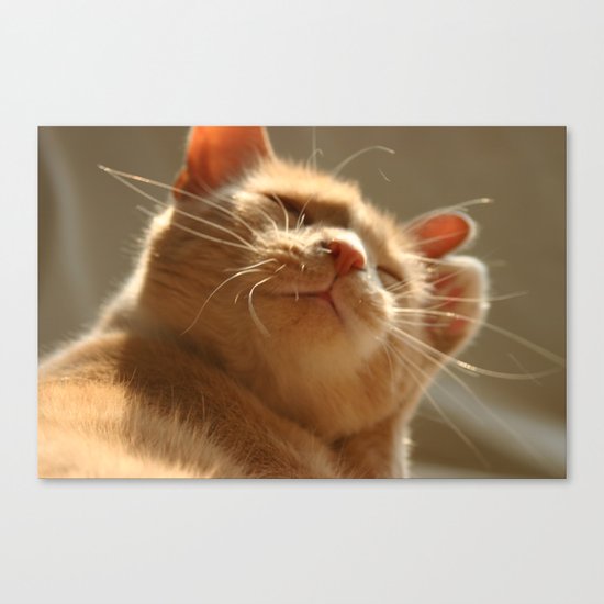 Content Canvas Print