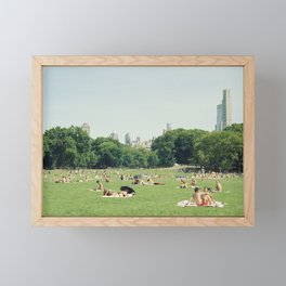 Summer in Central Park New York City | 35mm Film Photography Framed Mini Art Print