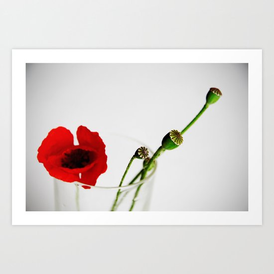 Poppy Art Print
