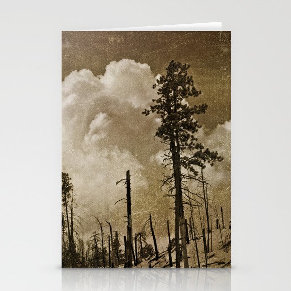 Valle Caldera, NM Stationery Cards