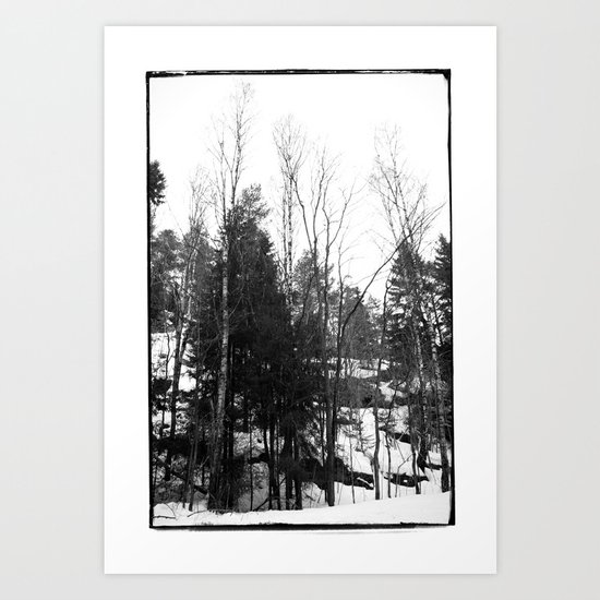 Norwegian forest VII Art Print