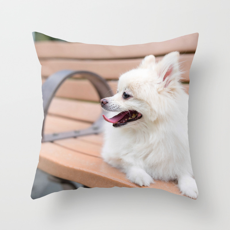 dog outdoor pillow