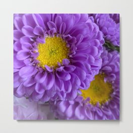 Aster Metal Print | Floral, Yellow, Garden, Lavender, Petals, Nature, Lilac, Photo, Bouquet, Flower 