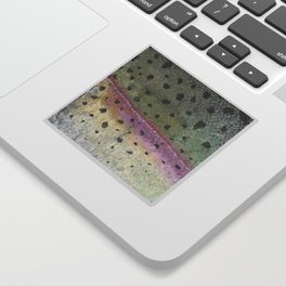 Rainbow Trout - Gyotaku Sticker