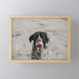 dog tongue Framed Mini Art Print