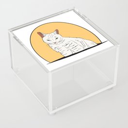 Cat in orange circle Acrylic Box