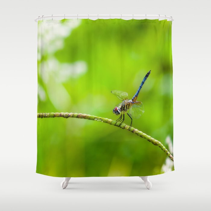 Perched Dragonfly  Shower Curtain
