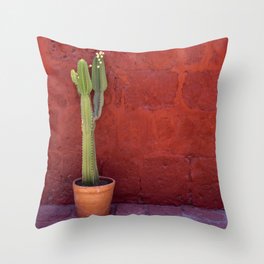 Mexico Photography - Small Cactus In Front Of A Red Brick Wall Throw Pillow