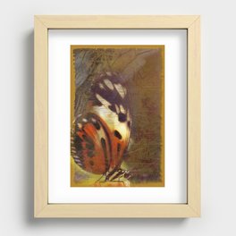 Butterfly  Recessed Framed Print