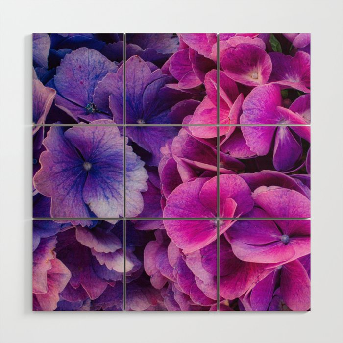 Purple and pink Hydrangea flowers  Wood Wall Art