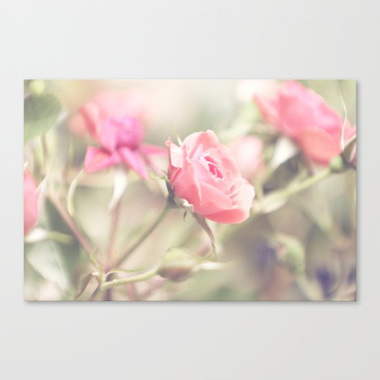 Kiss from a rose Canvas Print